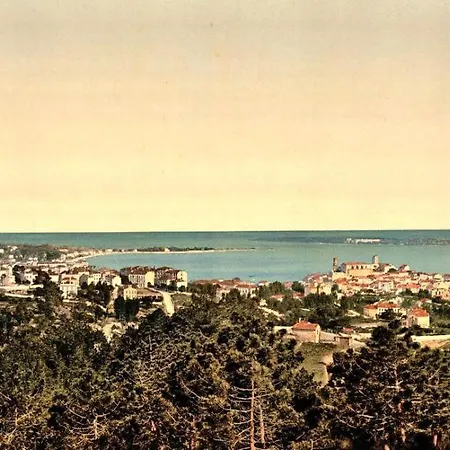 Sta4 Le Suquet, Proche Et Palais Des Congres 칸느